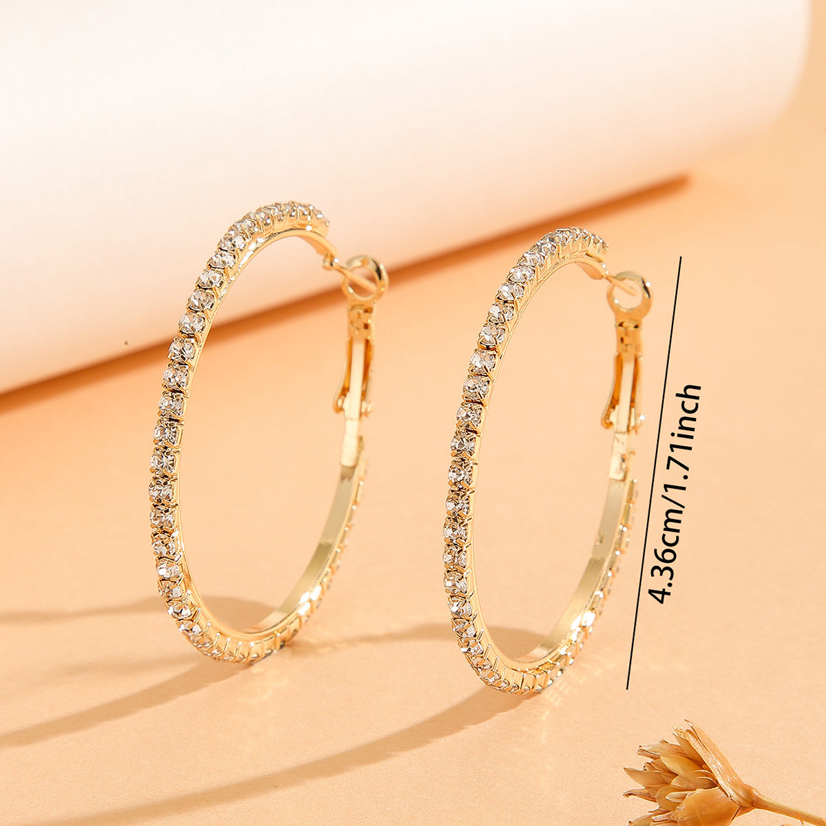 Princess Style Large Earrings